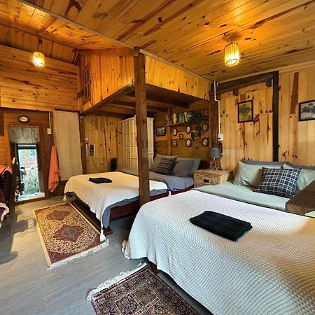 Soul Pnb Homestay Da Lat Dış mekan fotoğraf