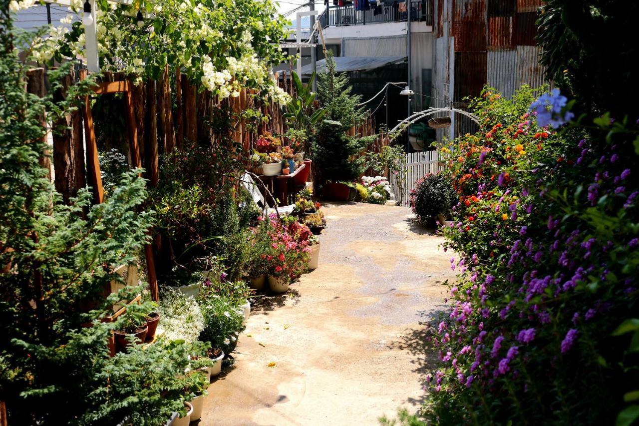 Soul Pnb Homestay Da Lat Dış mekan fotoğraf