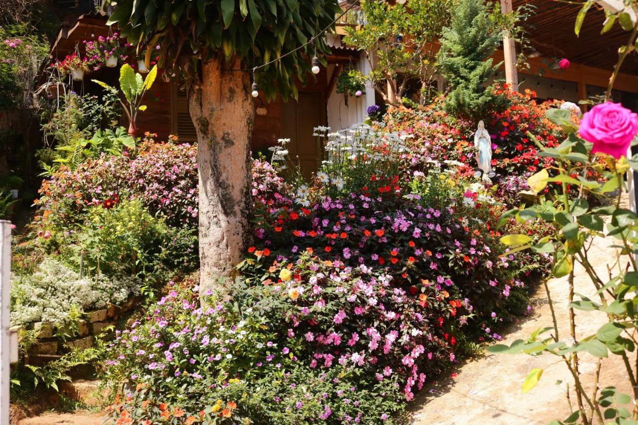 Soul Pnb Homestay Da Lat Dış mekan fotoğraf
