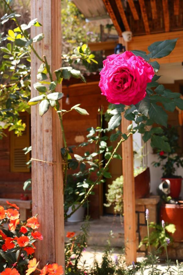 Soul Pnb Homestay Da Lat Dış mekan fotoğraf