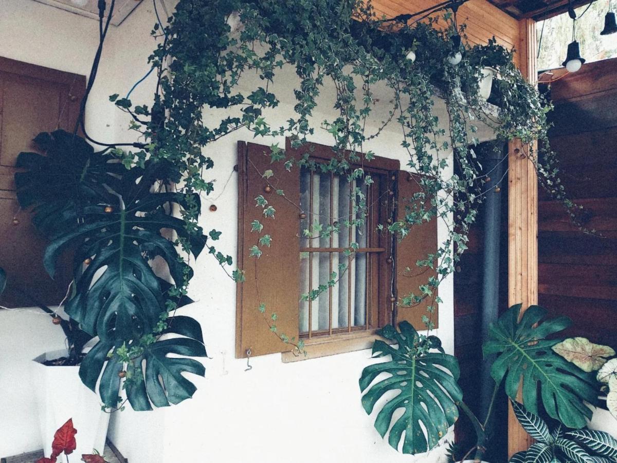 Soul Pnb Homestay Da Lat Dış mekan fotoğraf