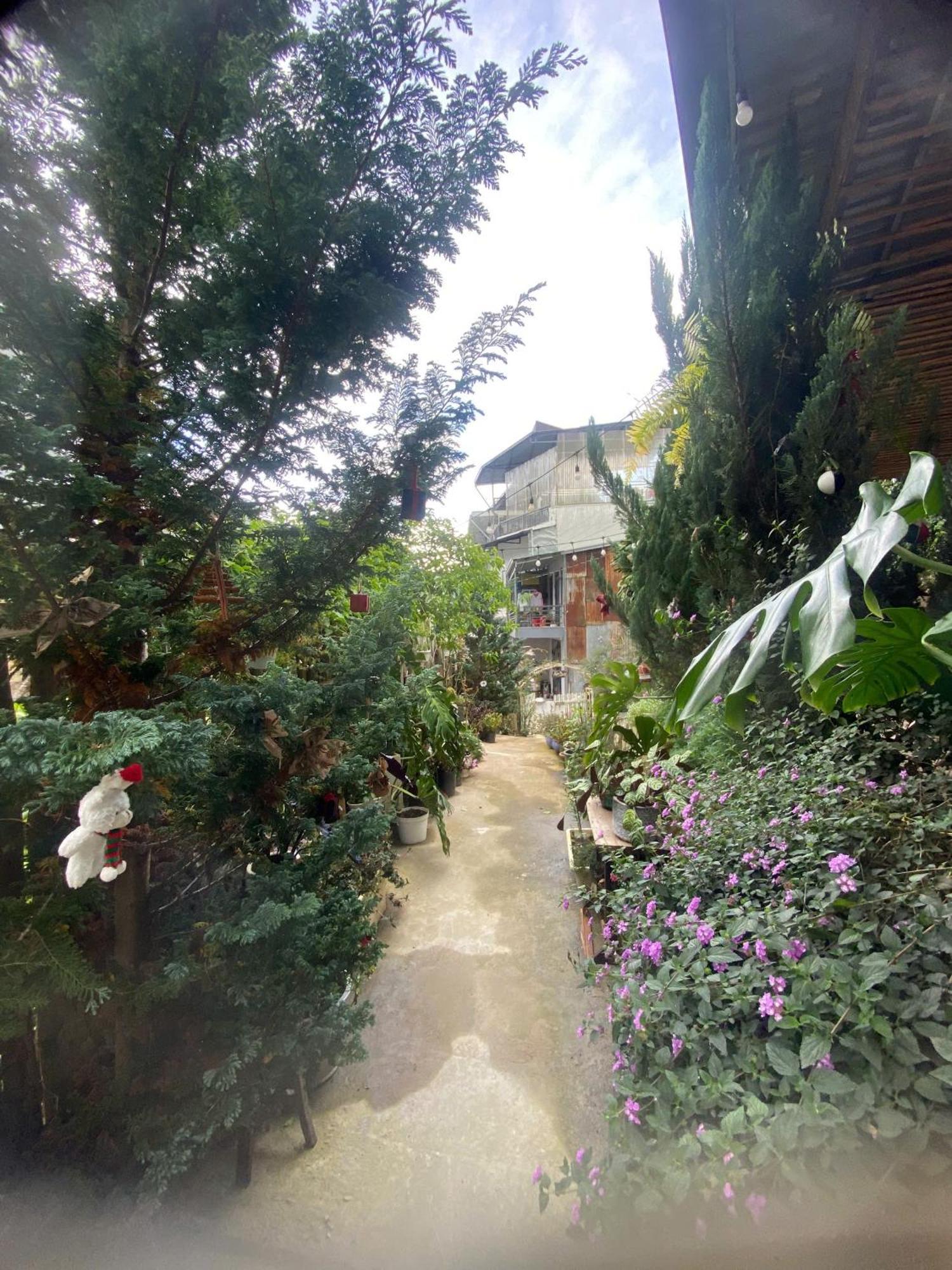 Soul Pnb Homestay Da Lat Dış mekan fotoğraf